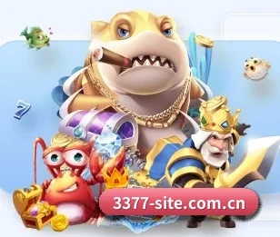 3377体育网站官方网站的故事